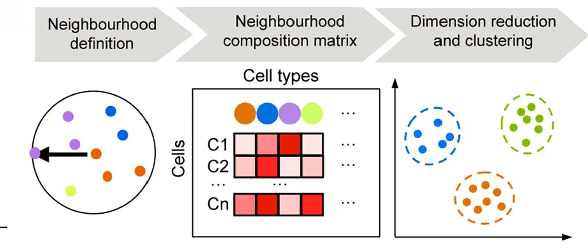 Open access visualization of Workflow, Illustration, Heatmap, Scatter Plot, Schematics