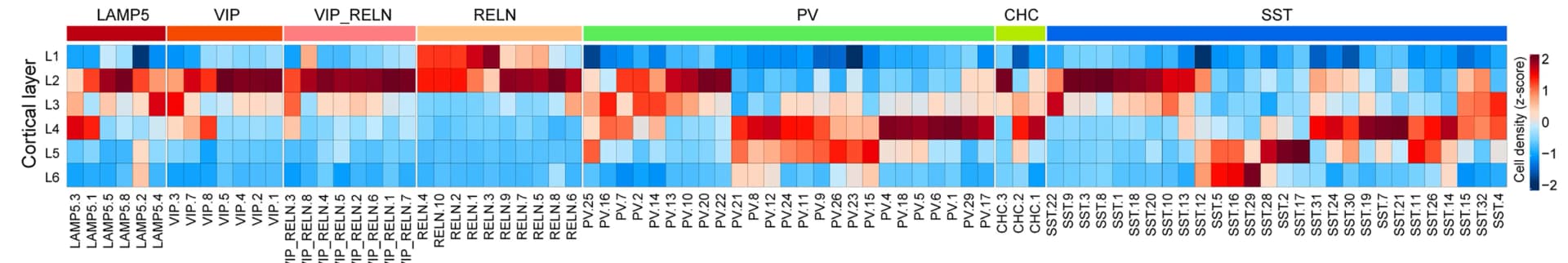 Open access visualization of Heatmap, GABAergic Cell Types, Cortical Layer Distribution