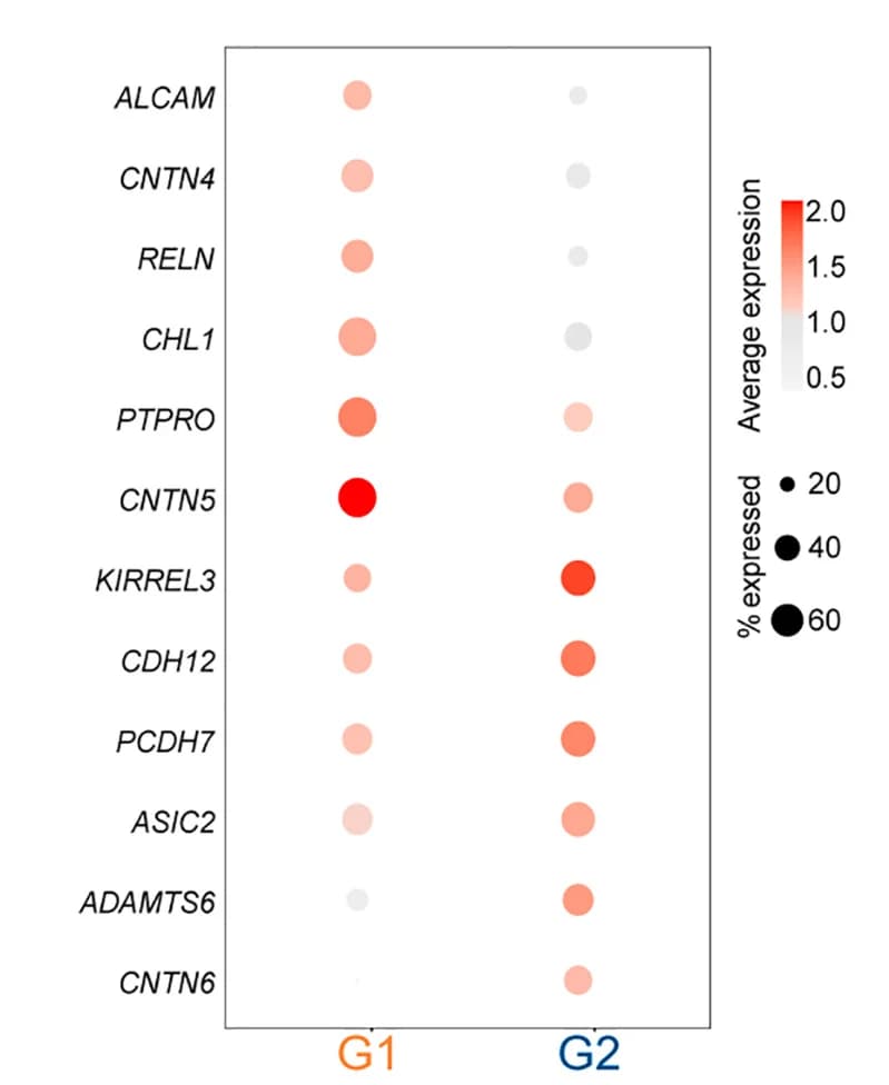 Open access visualization of Bubble Plot, SST Groups, Enriched Genes, Dot Plot