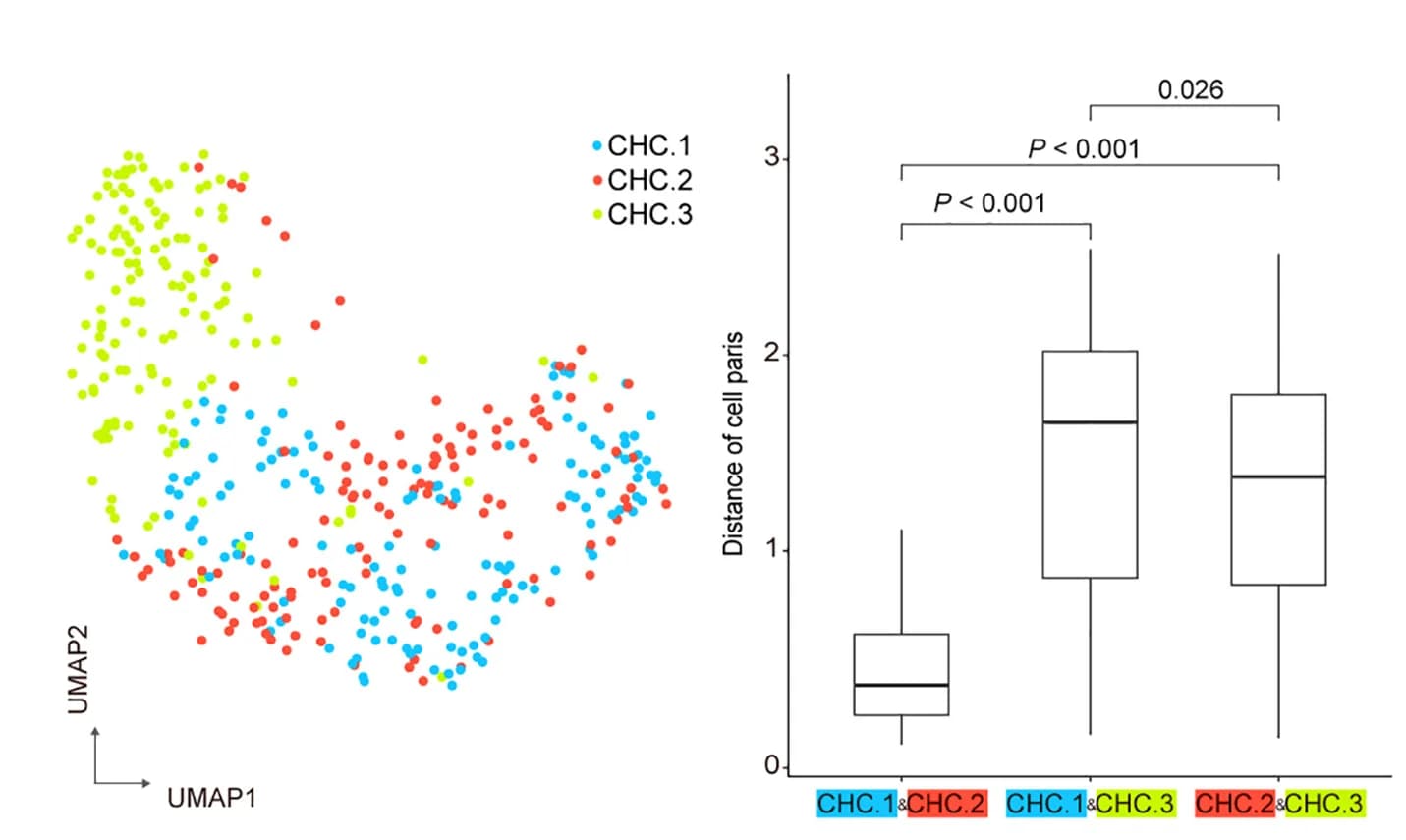Open access visualization of UMAP, Scatter Plot, Box Plot, Glutamatergic Neurons, CHC Cell Types