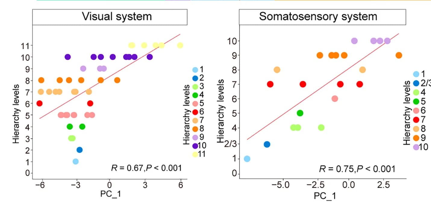 Open access visualization of Scatter Plot, Regression Plot, PV Cell-Composition, SST Cell-Composition, Regional Hierarchy