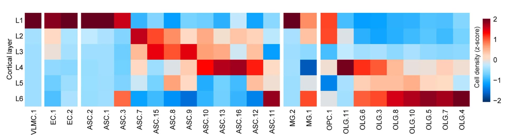 Open access visualization of Heatmap, Cell Density, Non-neuronal Cells