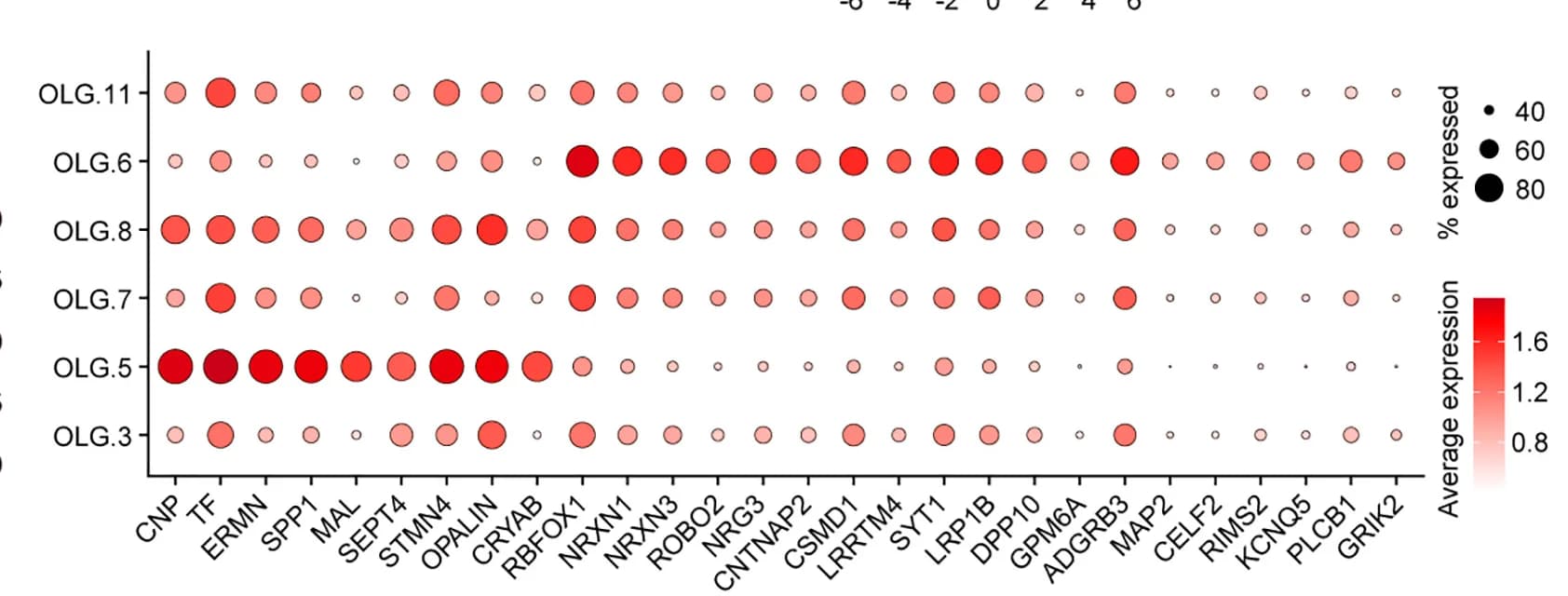 Open access visualization of Bubble Plot, Expression Patterns, Genes, OLG types