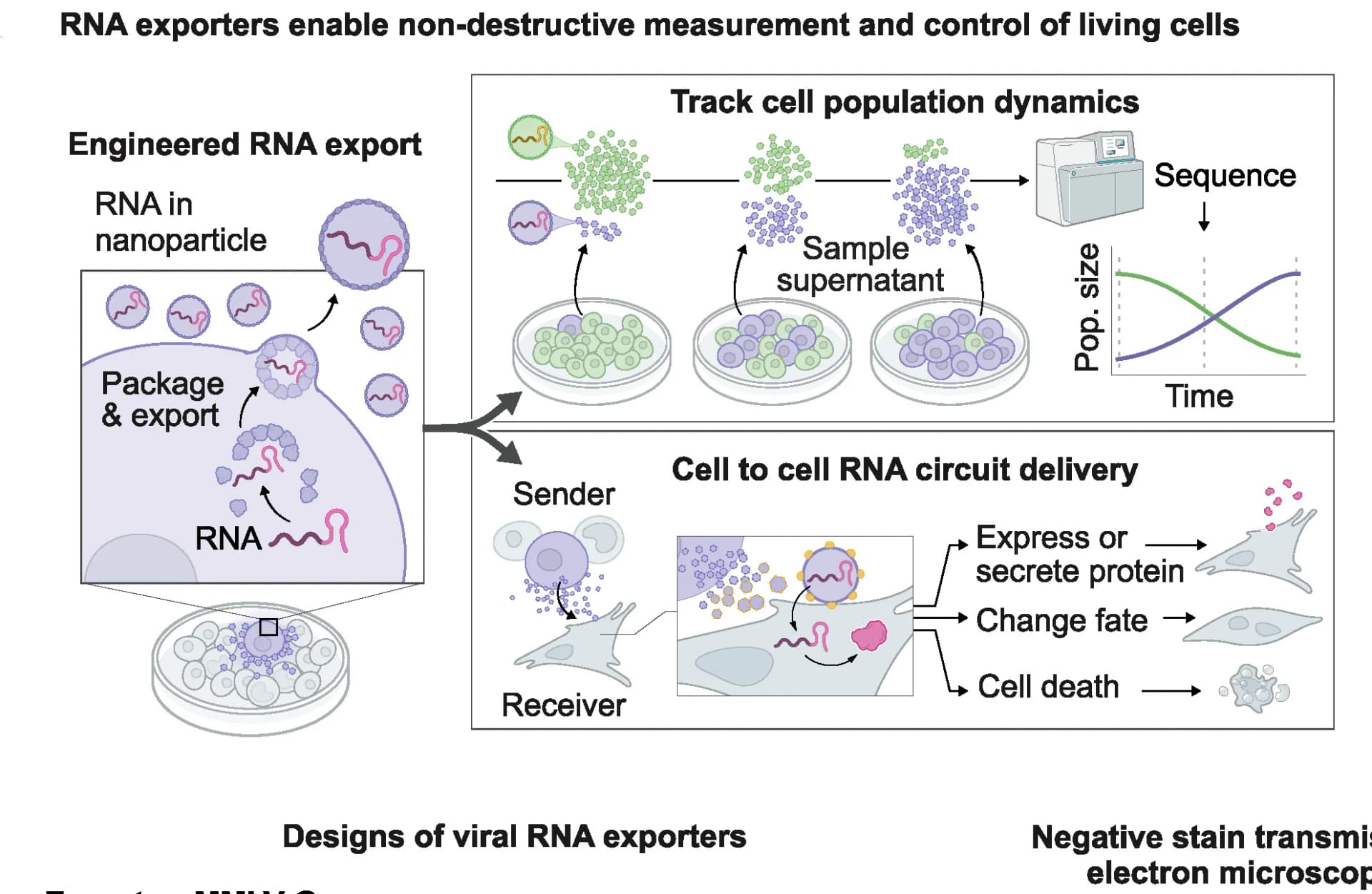 Open access visualization of Workflow, Illustration, Line Plot, RNA Export, Cell Tracking