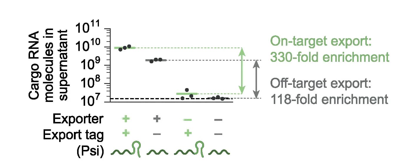 Open access visualization of Scatter Plot, Error Bars, Engineered RNA Exporters, Export Tags, Technical Replicates