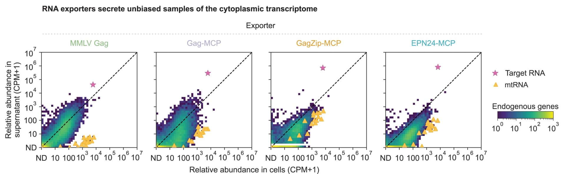 Open access visualization of Scatter Plot, Regression Plot, Heatmap, Transcript Abundance, Exporters