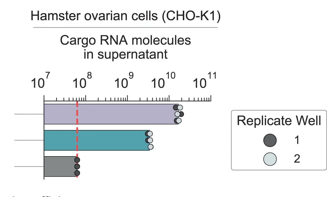 Open access visualization of Bar Plot, Chinese Hamster Ovary Cells, RNA Export, RT-qPCR, Technical Replicates