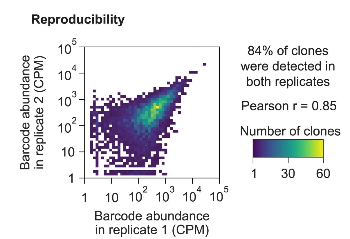 Open access visualization of Heatmap, Reporter System, Clone Abundances, Technical Replicates