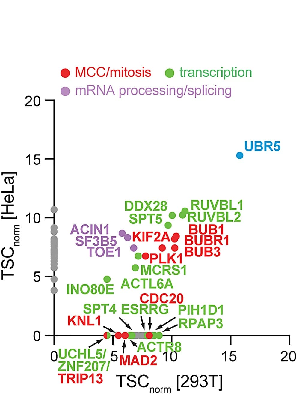 Open access visualization of Scatter Plot, 293T Cells, HeLa Cells, Affinity Purification, Mass Spectrometry