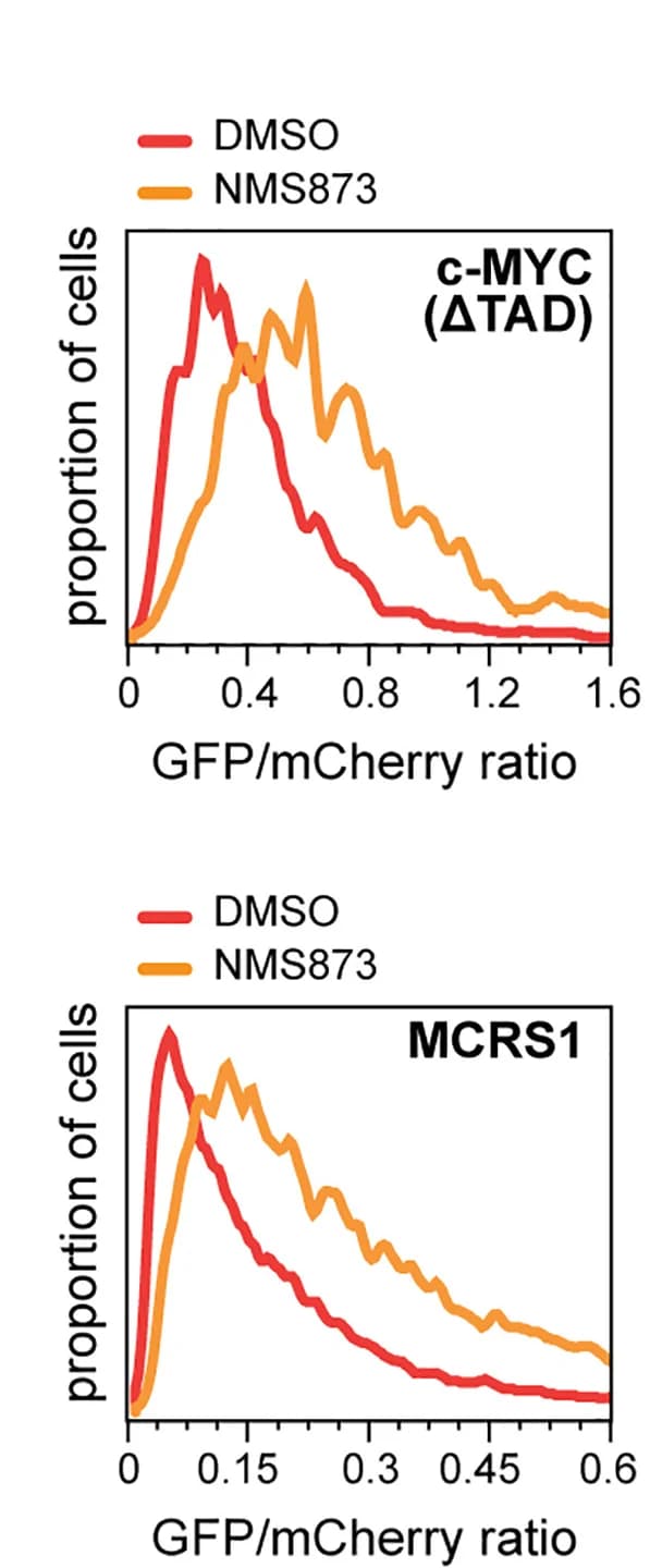 Open access visualization of Line Plot, Density Plot, UBR5, p97, NMS873