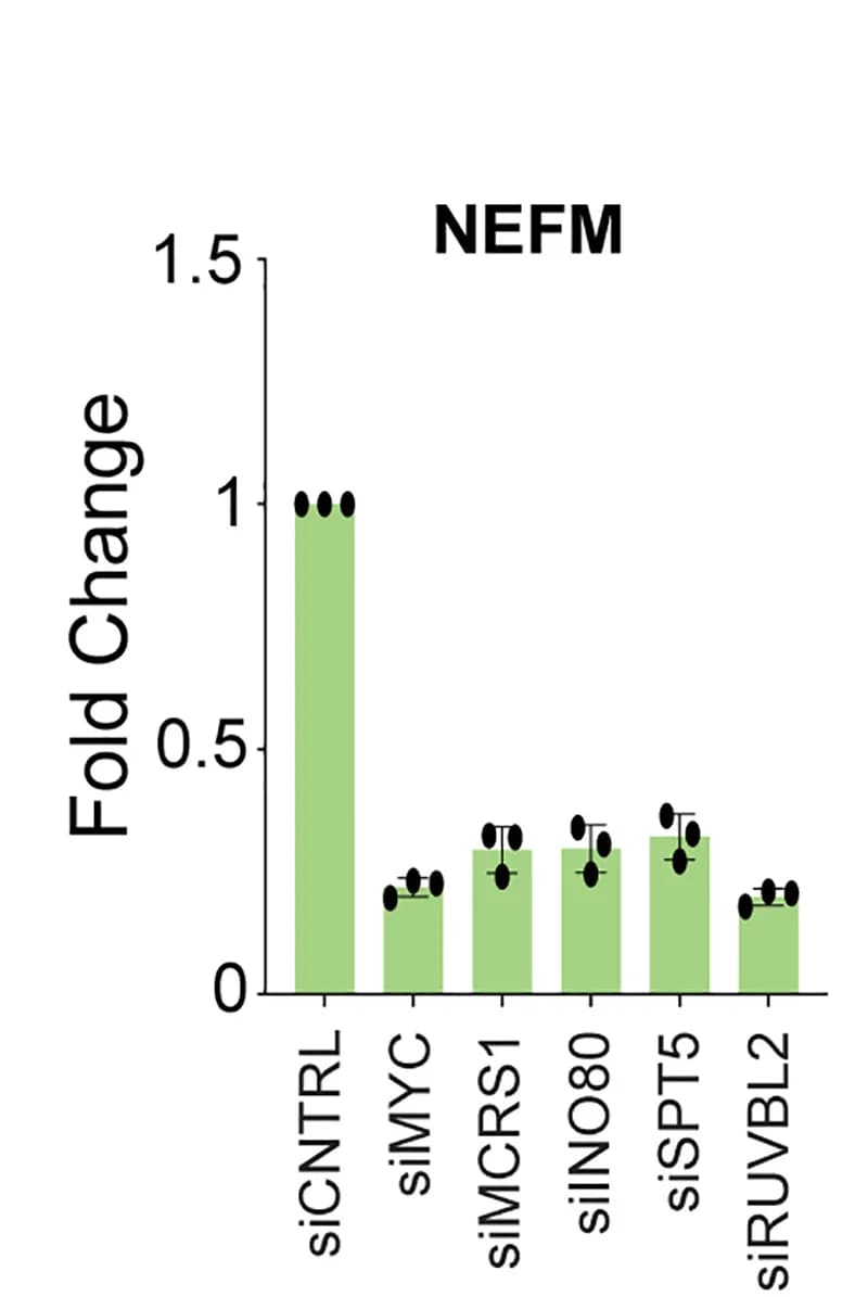Open access visualization of Bar Plot, Error Bars, UBR5 Substrates, UBR5-dependent Genes, Gene Expression