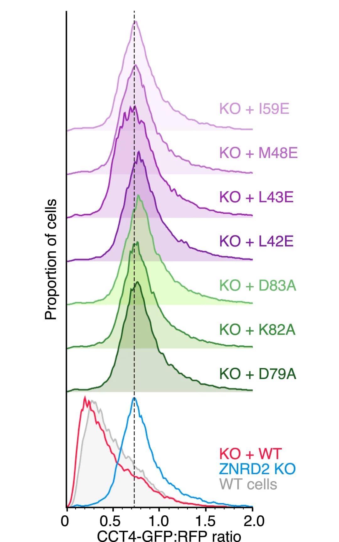 Open access visualization of Density Plot, Ridge Plot, Line Plot, CCT4 Reporter Degradation, Flow Cytometry
