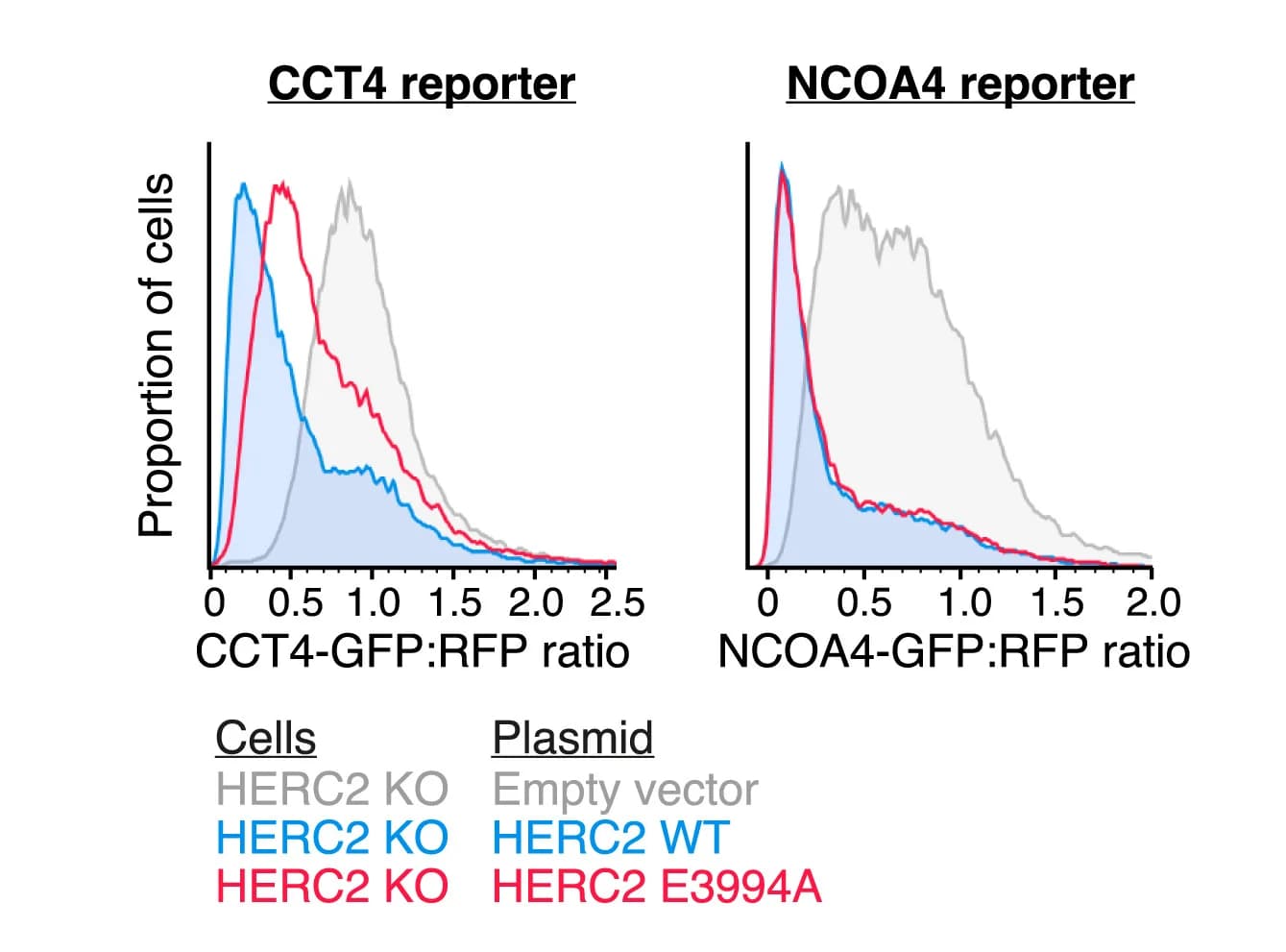 Open access visualization of Line Plot, Density Plot, HERC2-KO Cells, CCT4 Reporter, NCOA4 Reporter