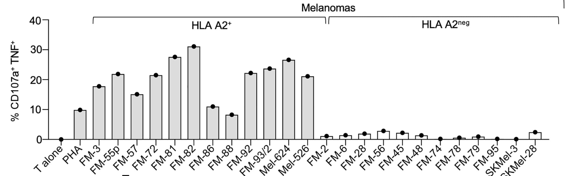Open access visualization of Bar Plot, T107 assay, TIL, HLA A*02:01+ melanoma cell lines, HLA A*02:01neg melanoma cell lines