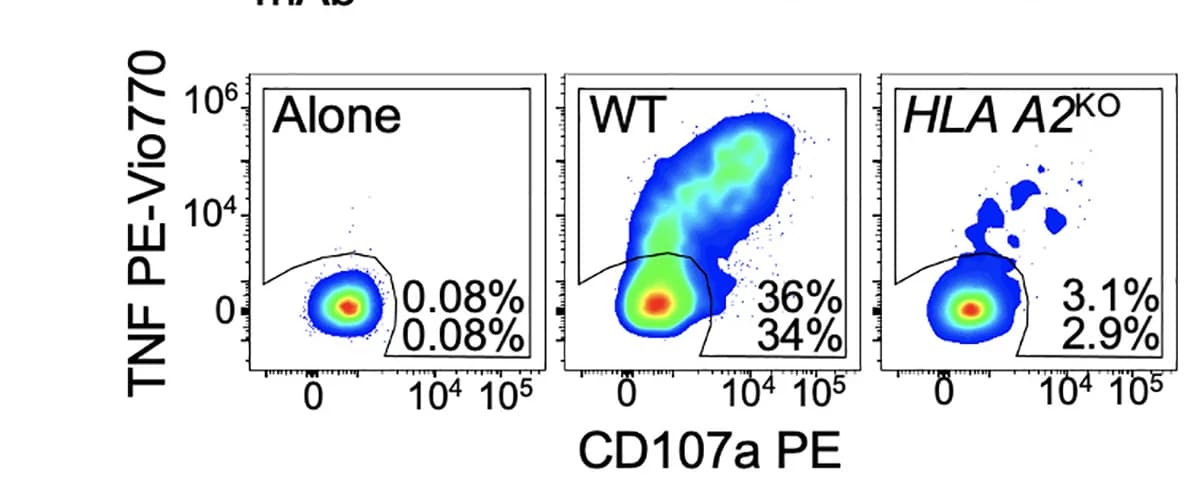 Open access visualization of Scatter Plot, T107 assay, TIL, Wild-type, HLA A*02:01 knockout