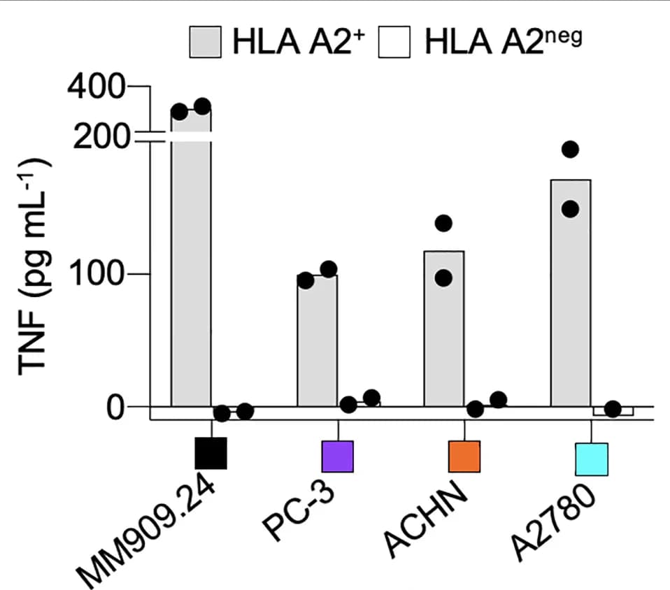 Open access visualization of Bar Plot, Scatter Plot, MEL8 activation, TNF ELISA, Cancer cell lines