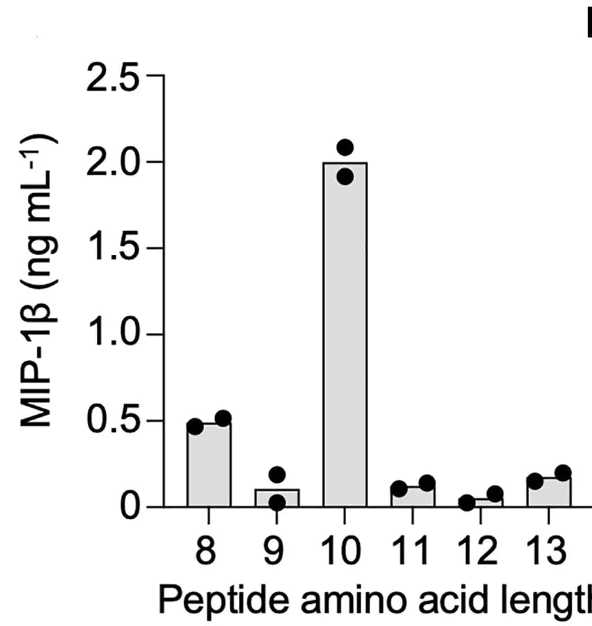 Open access visualization of Bar Plot, Scatter Plot, T Cell Clone, Peptide Length, MIP-1beta ELISA