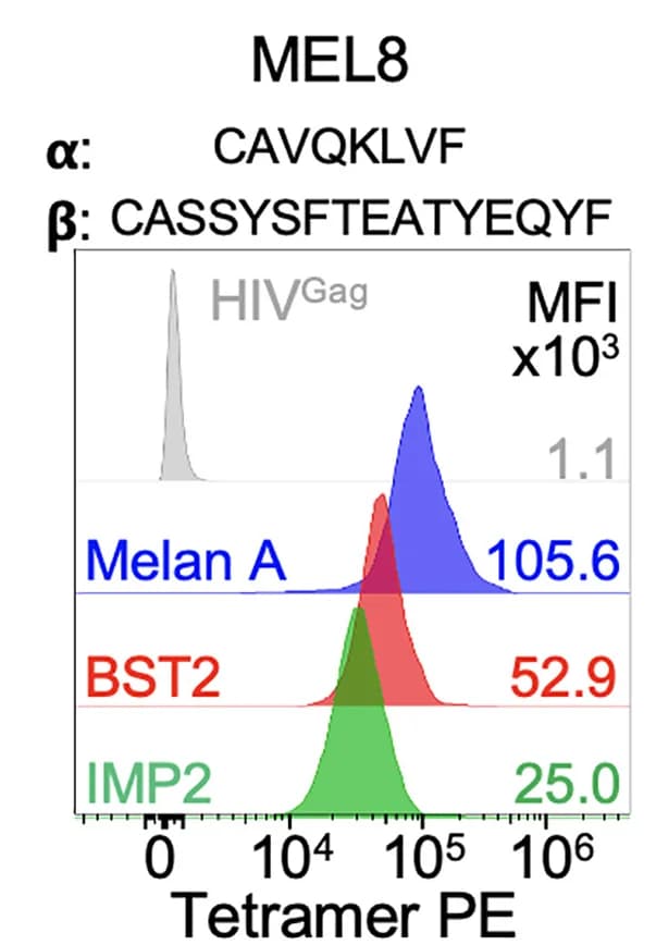 Open access visualization of Density Plot, MEL8 Staining, Tetramers, Melan A, BST2