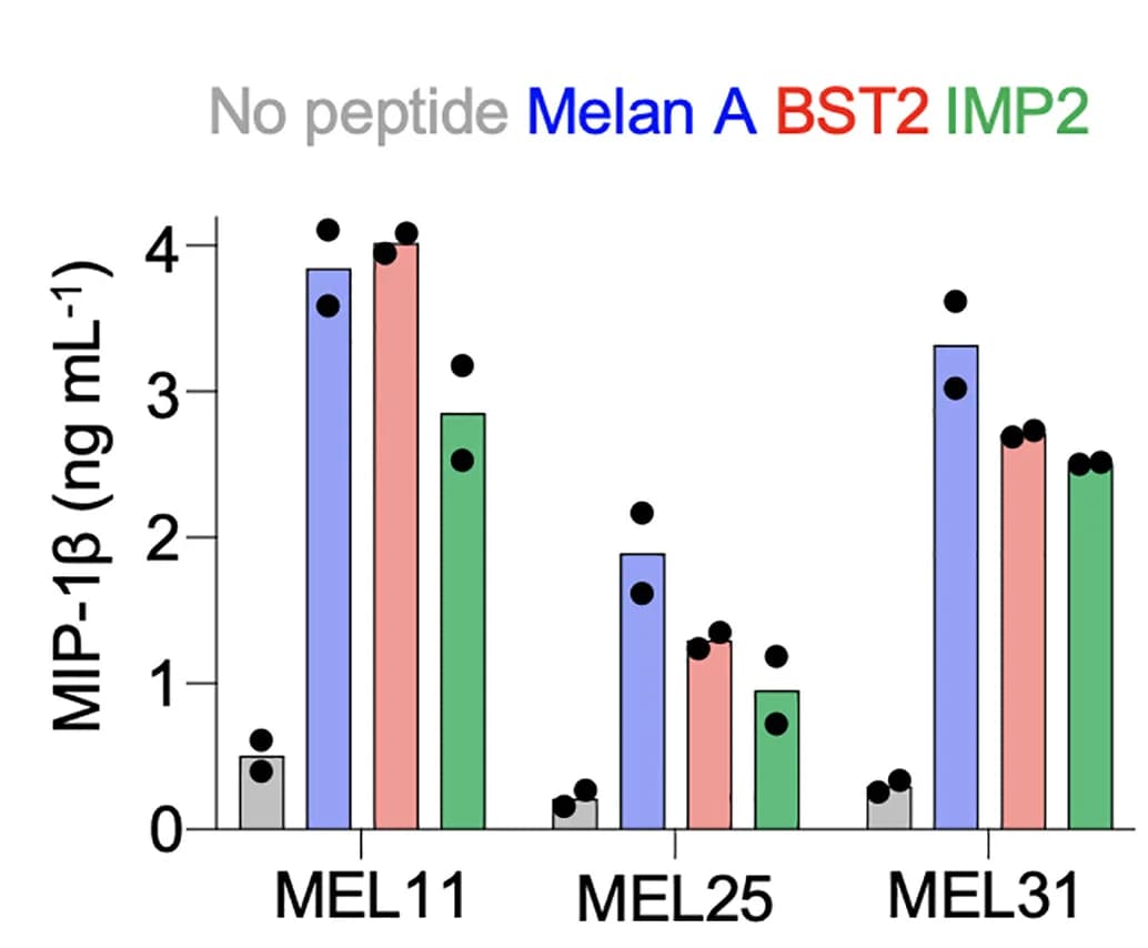 Open access visualization of Bar Plot, Clustered, Peptide Activation, MIP-1beta ELISA, Clones