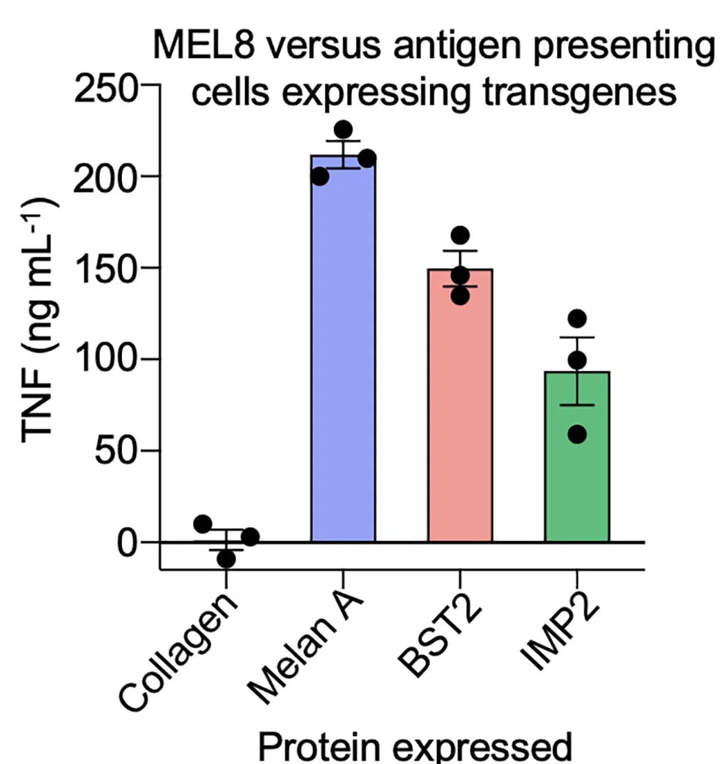 Open access visualization of Bar Plot, Error Bars, MEL8 Activation, TNF ELISA, Cell Line