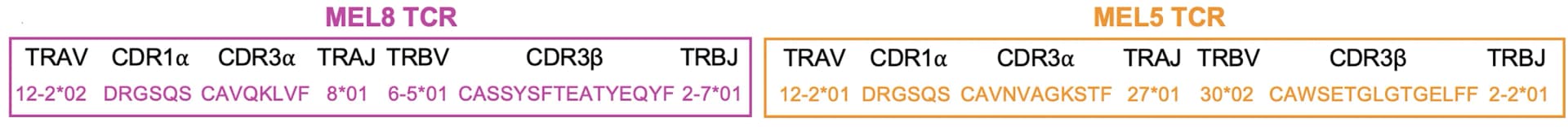 Open access visualization of Table Image, TCR Genes, CDR Sequences, T Cells