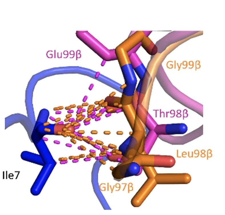 Open access visualization of Protein Structure, Chemical Structure, TCR, Melan A Peptide