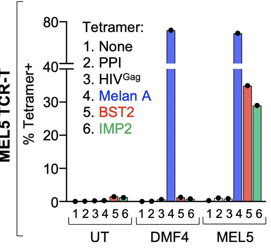 Open access visualization of Bar Plot, Clustered, TCR-T Cells, Tetramer Staining, Flow Cytometry