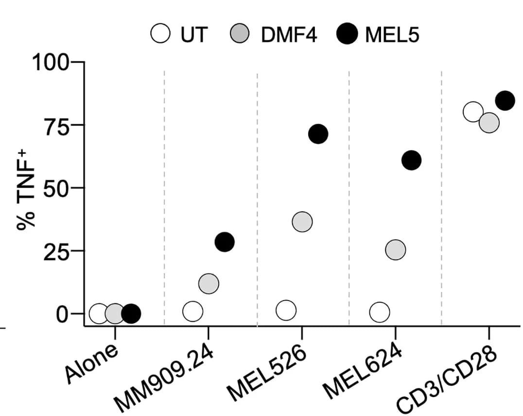 Open access visualization of Scatter Plot, TCR-T Cells, Melanoma Cells, T-cell Activation, Knockout Cells