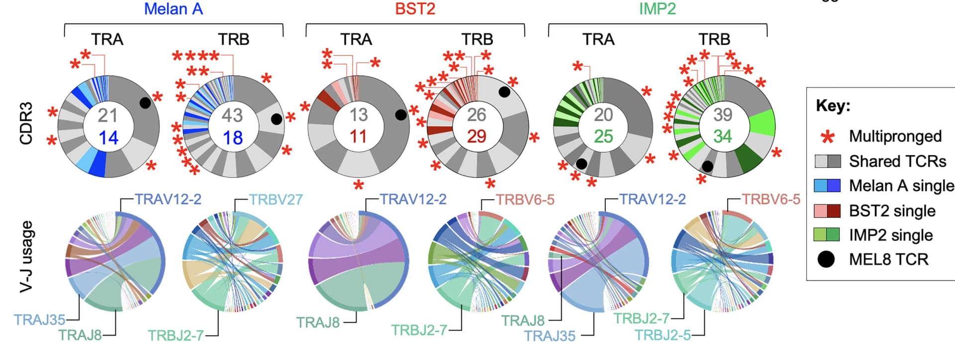 Open access visualization of Pie Chart, Chord, TCR, Tetramers, CDR3