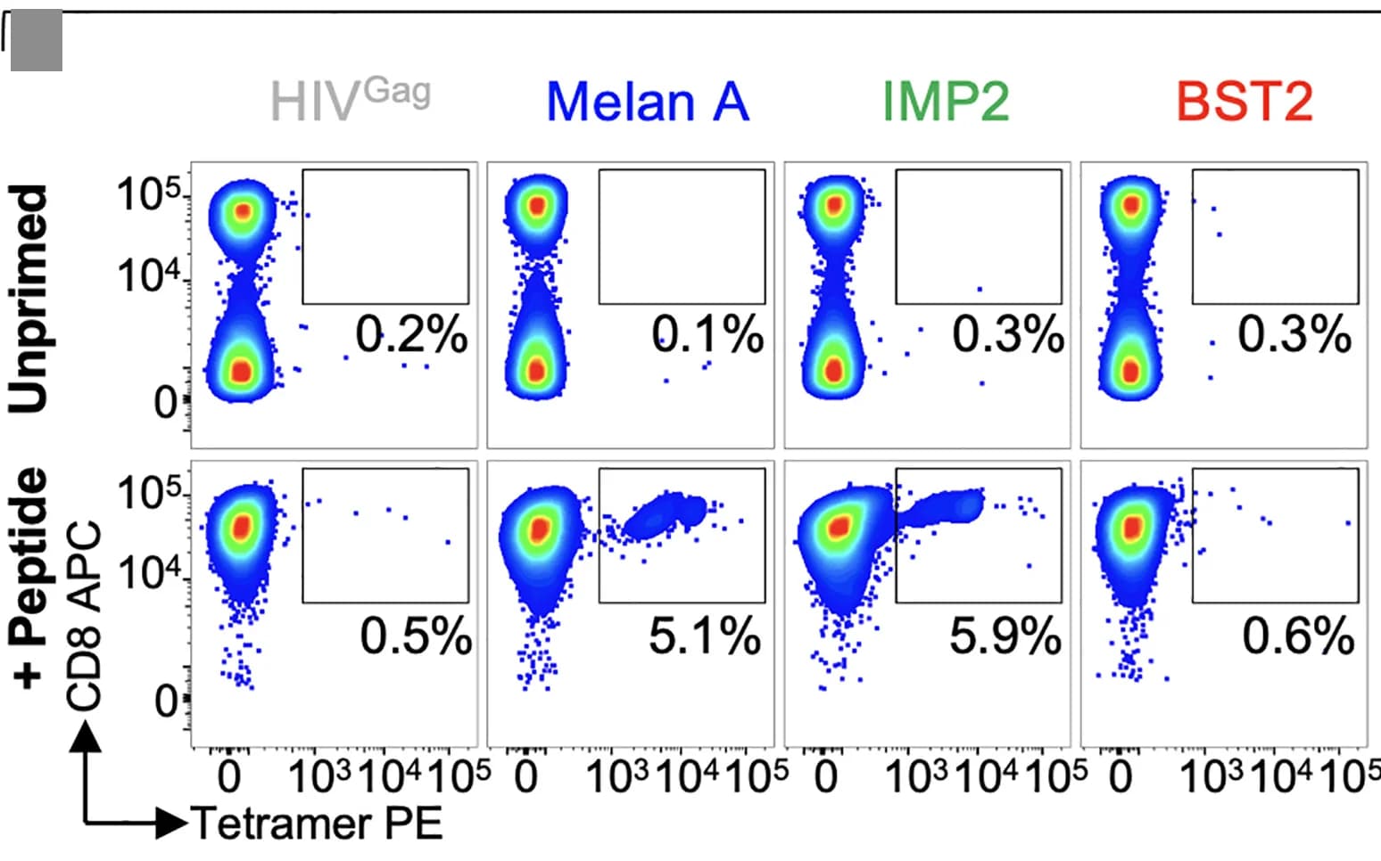 Open access visualization of Scatter Plot, CD8+ T Cells, CLL, IMP2, Tetramers