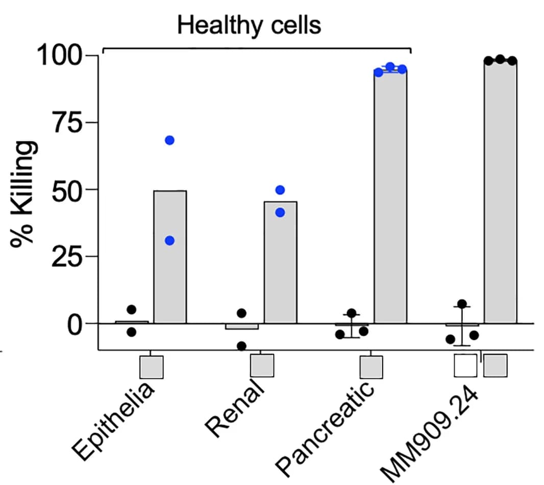 Open access visualization of Bar Plot, Scatter Plot, Error Bars, Killing Assay, MEL8