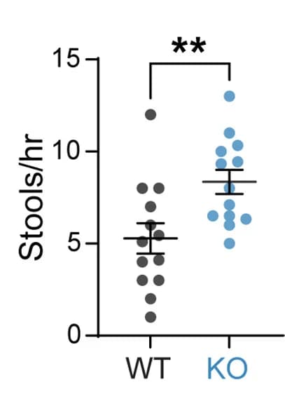 Open access visualization of Scatter Plot, Error Bars, Stools, Mice, Wild Type