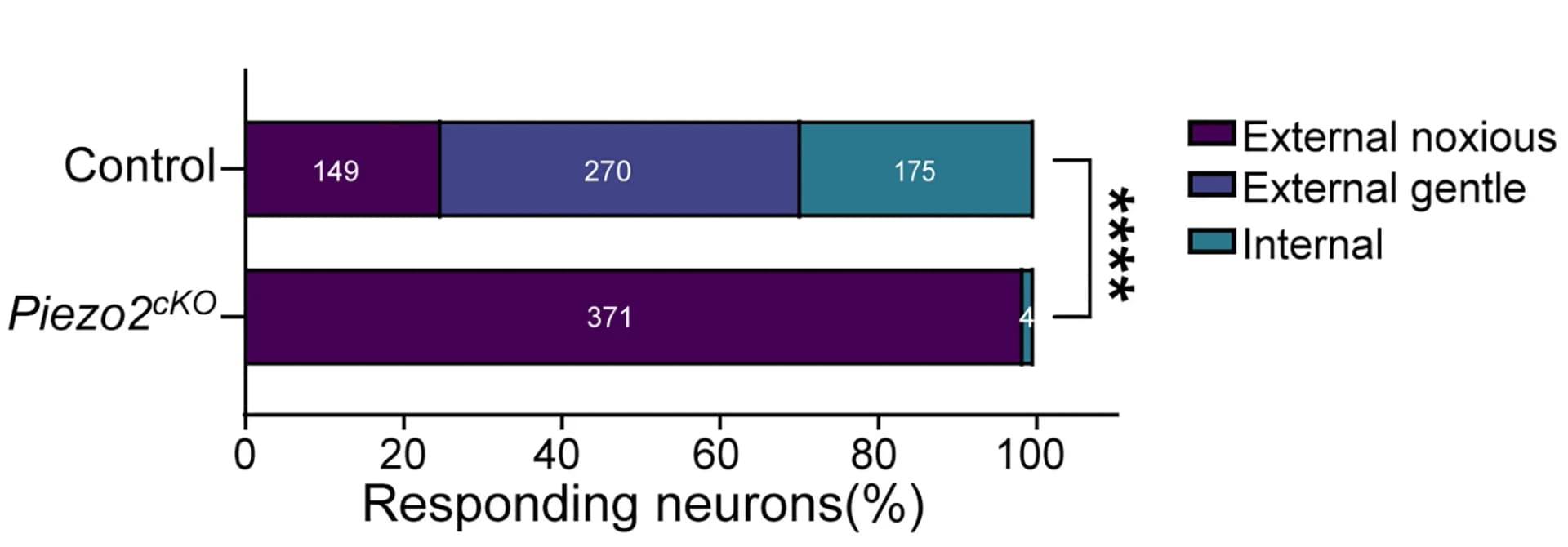 Open access visualization of Stacked Bar Plot, Calcium responses, DRG neurons, Control mice, Piezo2cKO mice