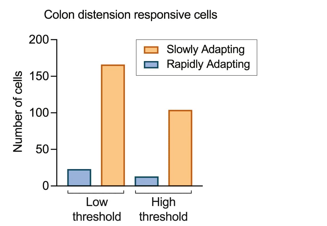 Open access visualization of Clustered, Bar Plot, Quantification, L6-S1 DRG, MEA Recordings