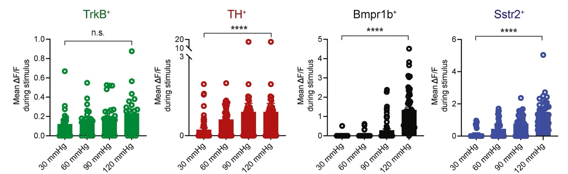 Open access visualization of Scatter Plot, Box Plot, Mean Calcium Activation, Colon Distension, Cell Type