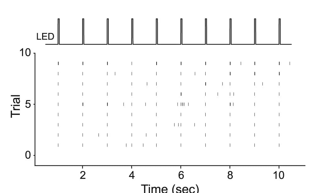 Open access visualization of Line Plot, Line Step, Raster plot, Light-evoked responses, Opto-tagged neuron