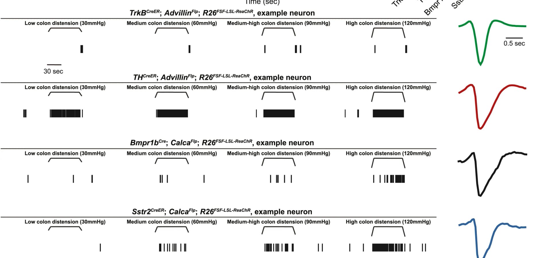 Open access visualization of Line Plot, Bar Plot, In vivo electrophysiological responses, Neurons, Genetic class