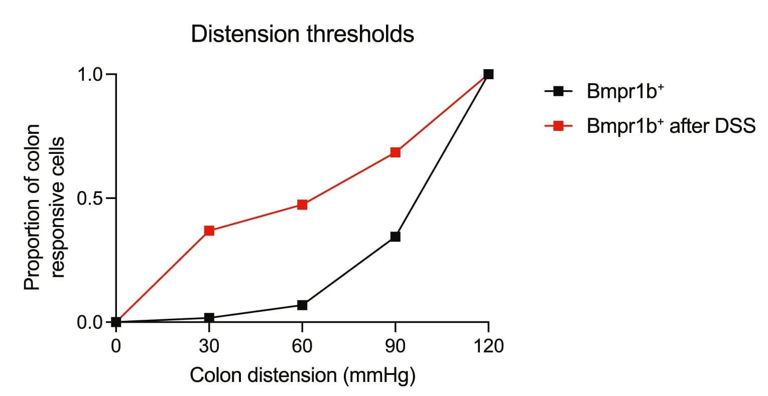 Open access visualization of Line Plot, Distension Thresholds, DRG Calcium Imaging, Control, DSS-treated Animals