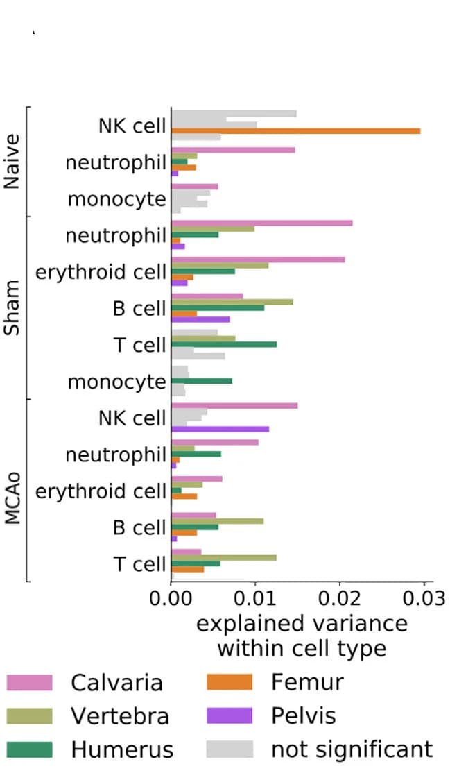 Open access visualization of Bar Plot, Clustered, PC Regression, Cell Population, Bone
