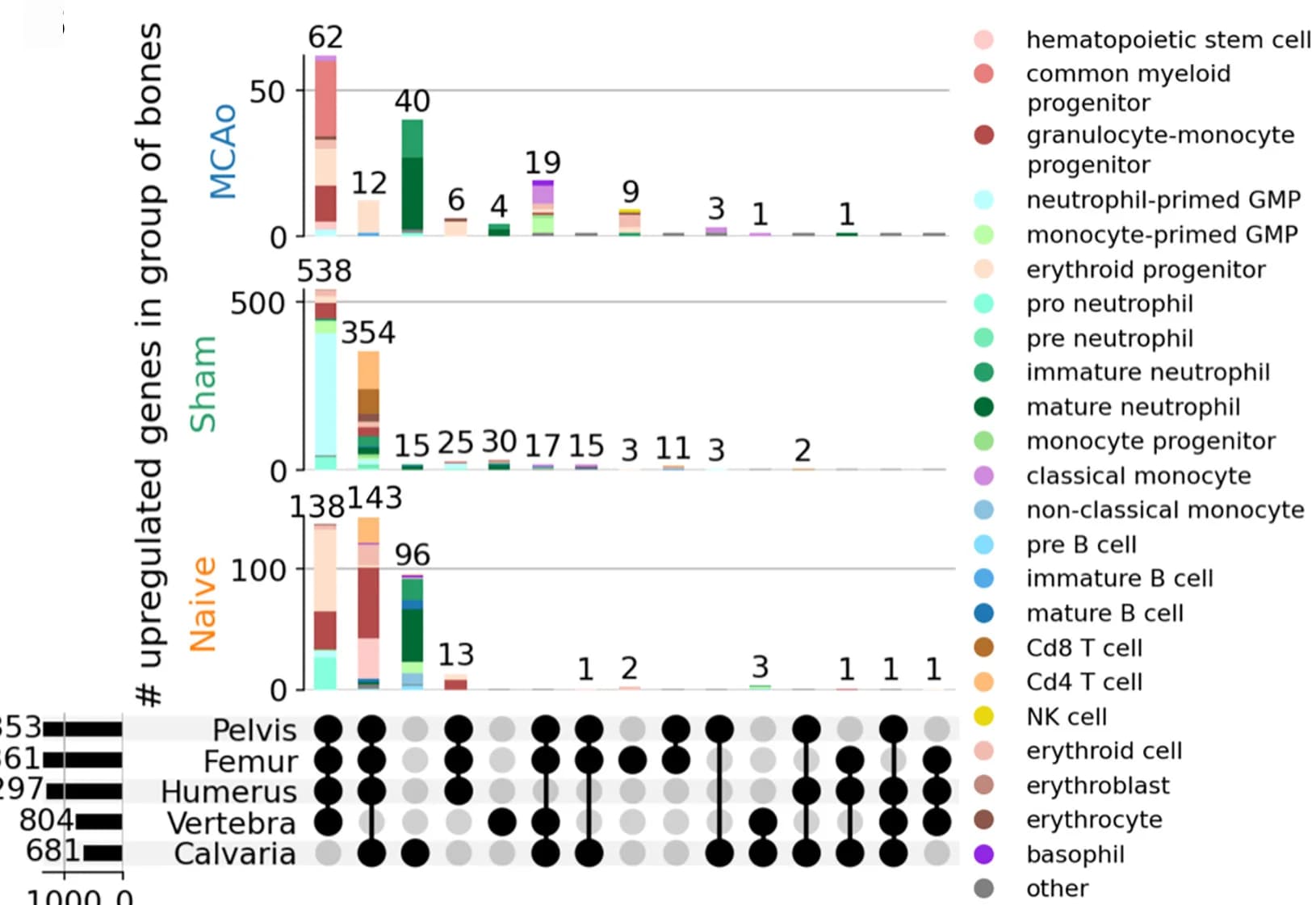Open access visualization of Stacked Bar Plot, UpSet, Differentially Expressed Genes, Naive, Sham