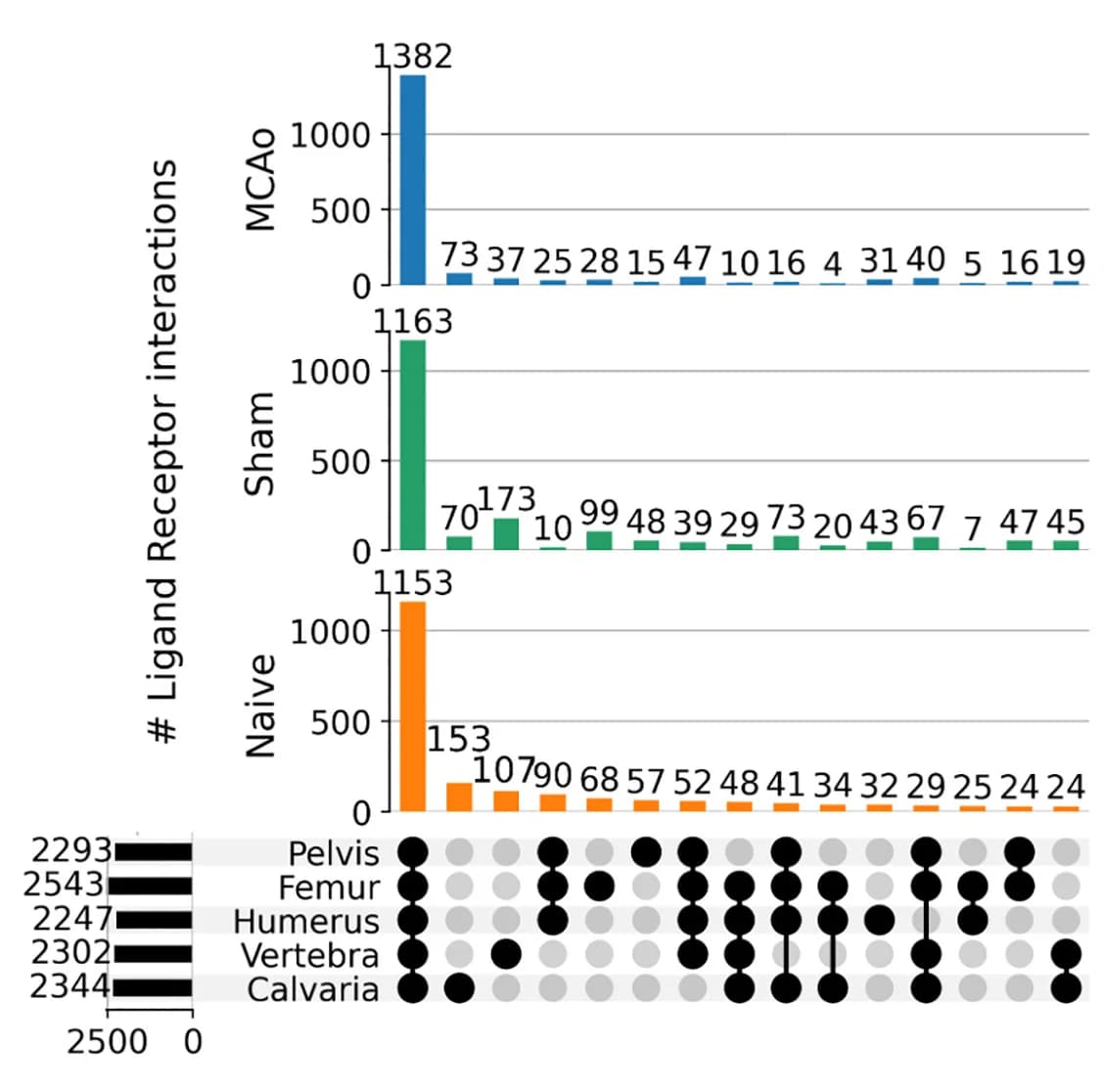Open access visualization of Bar Plot, Ligand-Receptor Interactions, Condition, Cell Type