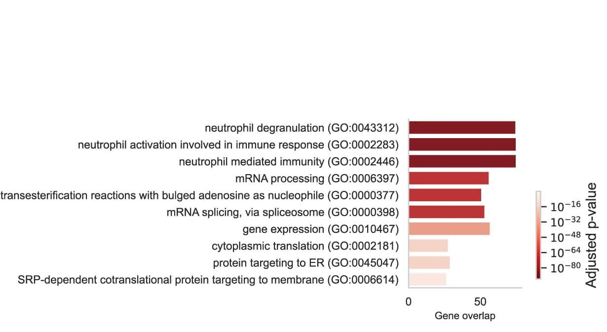 Open access visualization of Bar Plot, Protein Expression Modules, WGCNA, Bones, Brain