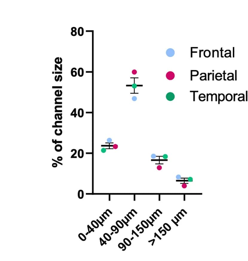 Open access visualization of Scatter Plot, Error Bars, Channel Size, Frontal Region, Parietal Region