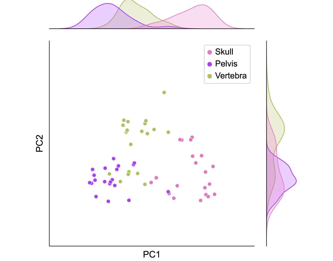 Open access visualization of Scatter Plot, PCA, Density Plot, Principal Component Analysis, Bones