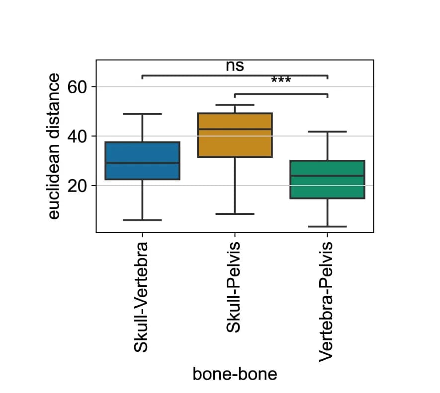 Open access visualization of Box Plot, Boxplot, Euclidean Distances, Principal Components, Bones