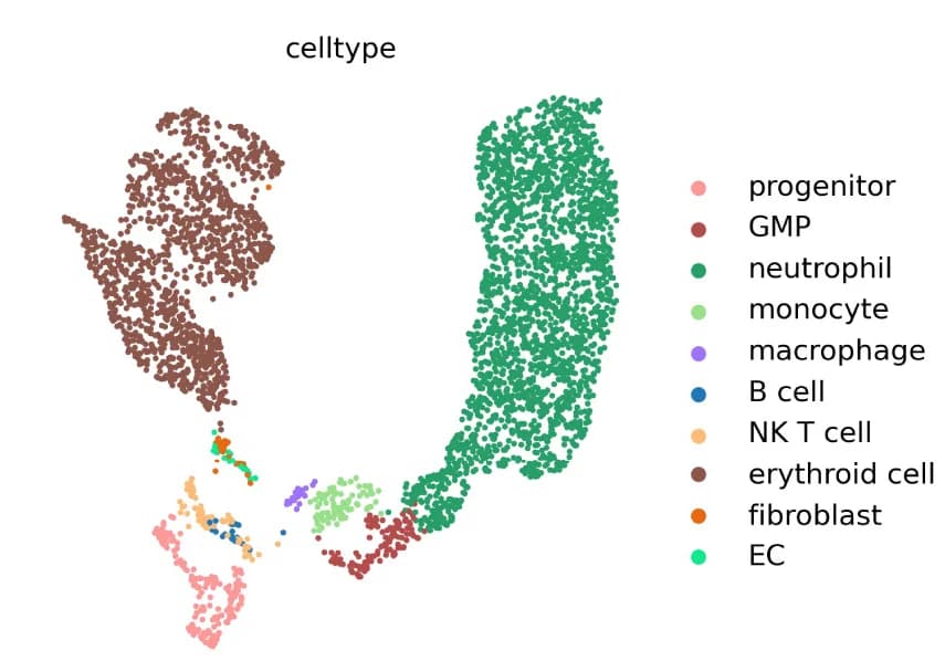Open access visualization of Scatter Plot, UMAP, PCA, Single-Cell Sequencing, Post-Mortem