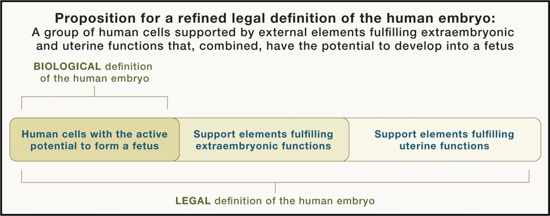 Open access visualization of Flowchart, Workflow, Embryos, Embryo Models, Fertilization