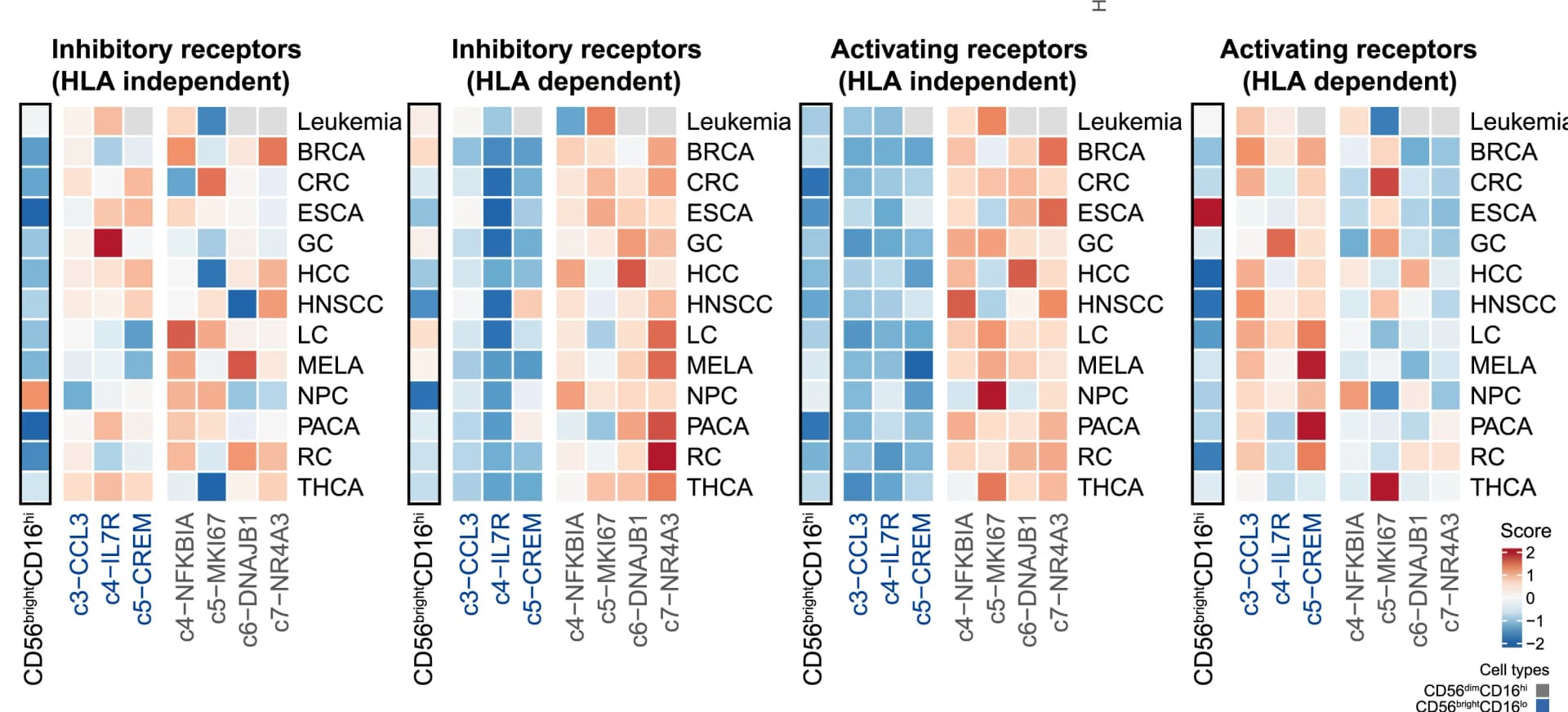 Open access visualization of Heatmap, Heatmaps, Inhibitory Receptors, Activating Receptors, NK Cell Subsets