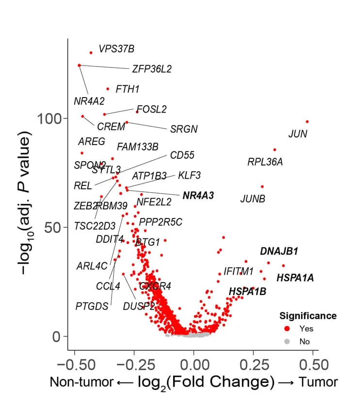 Open access visualization of Volcano Plot, Scatter Plot, Differentially Expressed Genes, CD56dimCD16hiNK Cells, Tumor Tissue