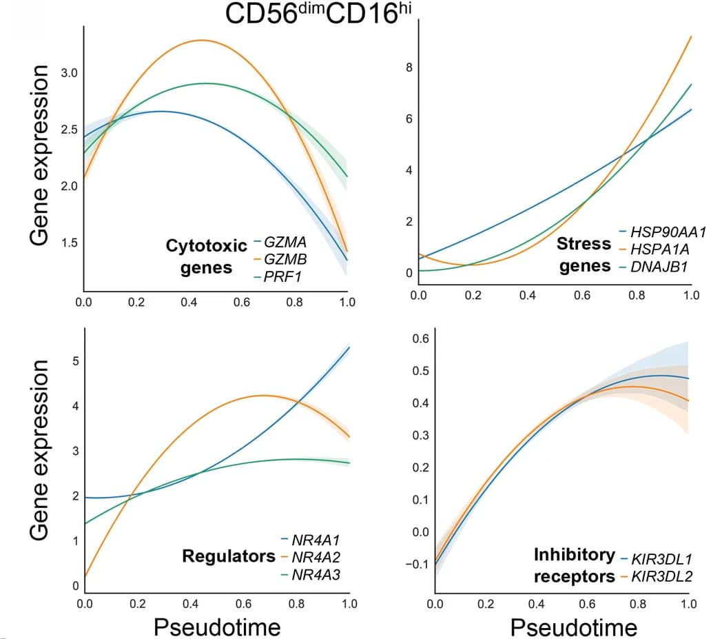 Open access visualization of Line Plot, Density Plot, Error Bars, Gene Expression, Pseudotime